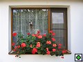 thn_Troubelice 2006 005.jpg